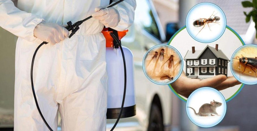 Kuşadası Böcek İlaçlama