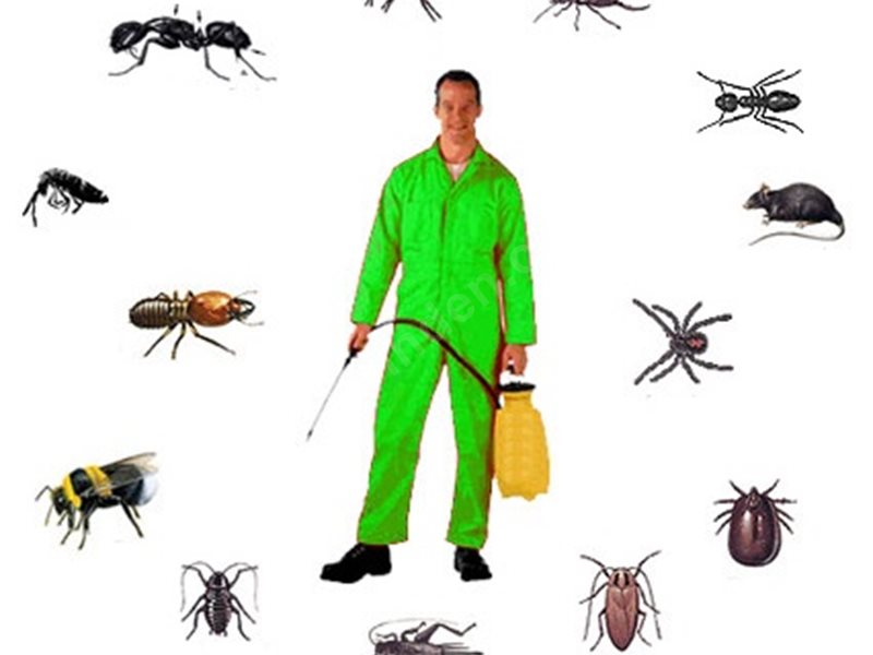 Kuşadası Böcek İlaçlama